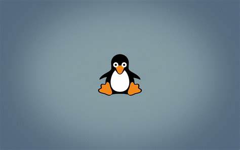 Linux基金会确认开源技术不受美国出口管制