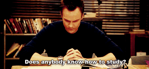 /uploads/fox/27132246_2.jpg /uploads/fox/27132246_2.jpg
