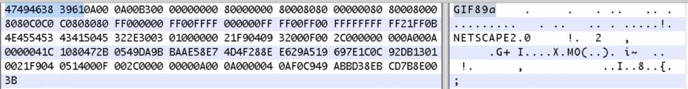 /uploads/fox/28224627_2.jpg /uploads/fox/28224627_2.jpg